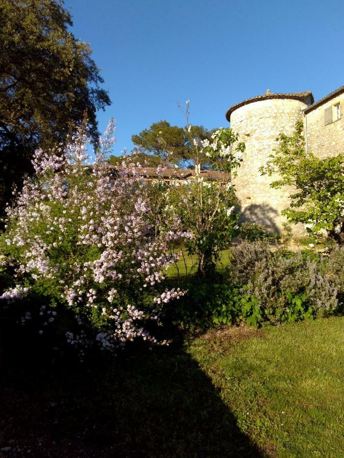 Chateau De Rousson المظهر الخارجي الصورة